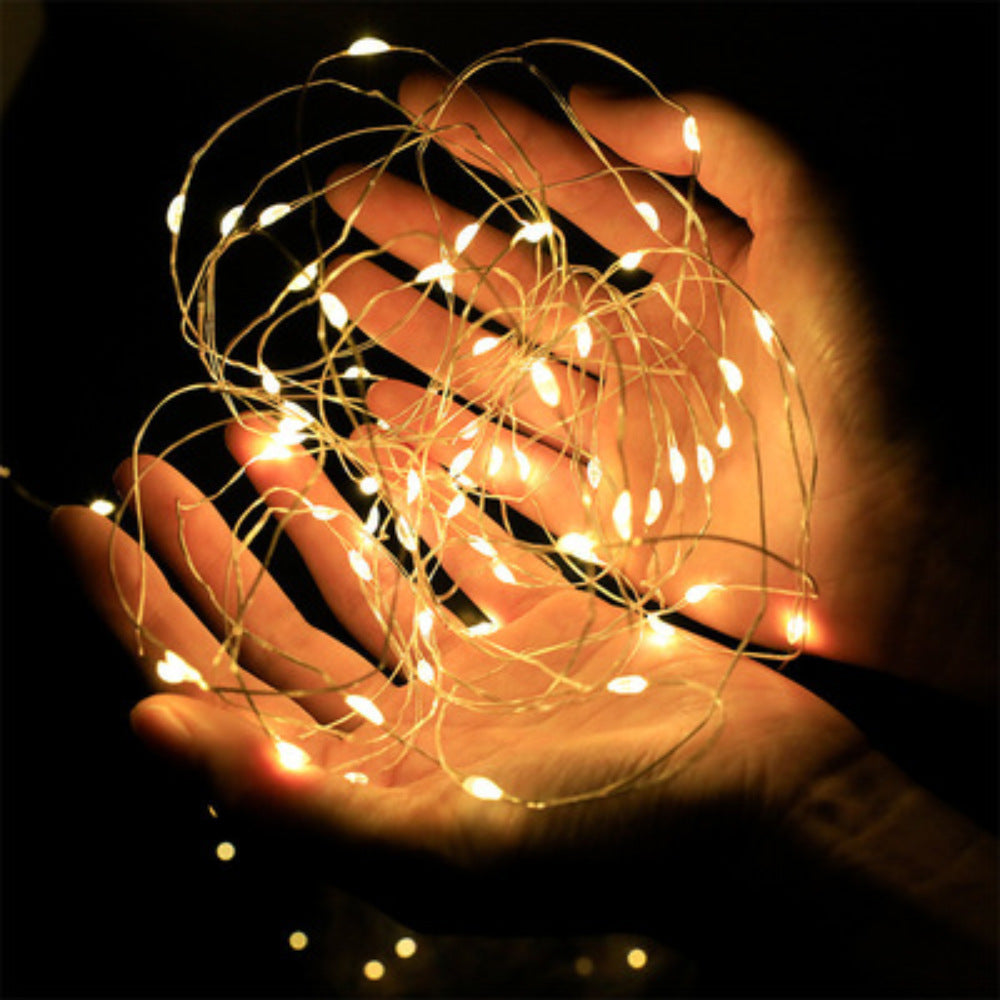 Wholesale LED String Lights with Copper Wire and Flowers
